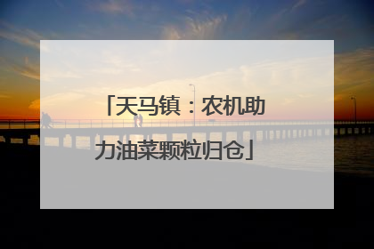 天马镇：农机助力油菜颗粒归仓