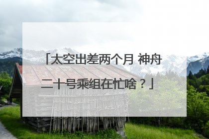 太空出差两个月 神舟二十号乘组在忙啥？