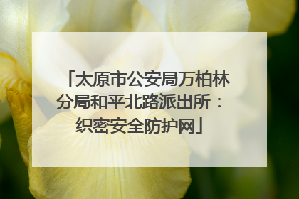 太原市公安局万柏林分局和平北路派出所：织密安全防护网