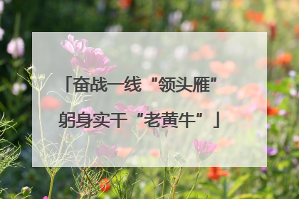 奋战一线“领头雁” 躬身实干“老黄牛”