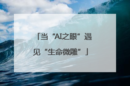 当“AI之眼”遇见“生命微雕”