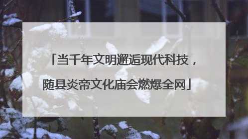 当千年文明邂逅现代科技，随县炎帝文化庙会燃爆全网