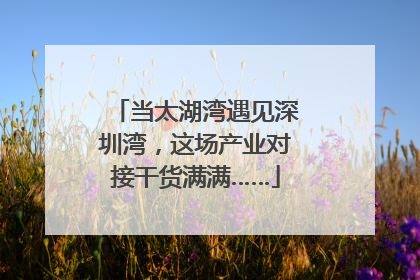 当太湖湾遇见深圳湾，这场产业对接干货满满……