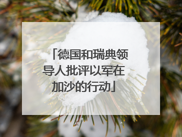 德国和瑞典领导人批评以军在加沙的行动