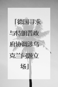 德国寻求与特朗普政府协调涉乌克兰问题立场