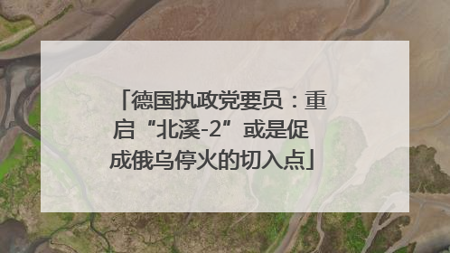德国执政党要员：重启“北溪-2”或是促成俄乌停火的切入点
