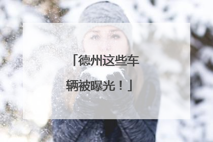德州这些车辆被曝光！