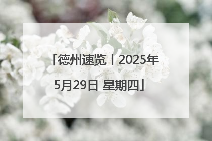 德州速览丨2025年5月29日 星期四