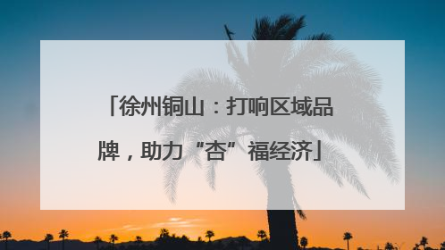 徐州铜山：打响区域品牌，助力“杏”福经济