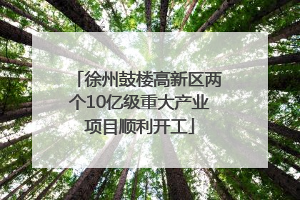 徐州鼓楼高新区两个10亿级重大产业项目顺利开工