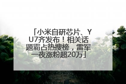 小米自研芯片、YU7齐发布！相关话题霸占热搜榜，雷军一夜涨粉超20万