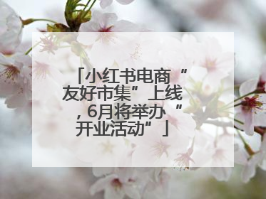 小红书电商“友好市集”上线，6月将举办“开业活动”