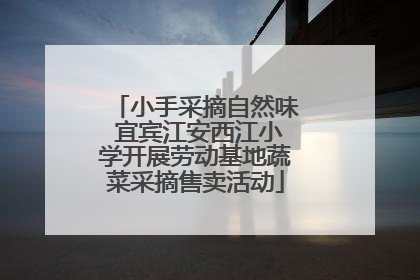 小手采摘自然味 宜宾江安西江小学开展劳动基地蔬菜采摘售卖活动