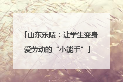 山东乐陵：让学生变身爱劳动的“小能手”