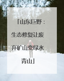 山东巨野：生态修复让废弃矿山变绿水青山