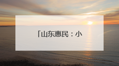 山东惠民：小绳网“织”出乡村振兴新图景
