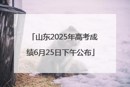 山东2025年高考成绩6月25日下午公布