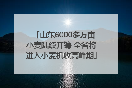 山东6000多万亩小麦陆续开镰 全省将进入小麦机收高峰期