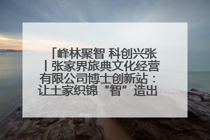 峰林聚智 科创兴张丨张家界旅典文化经营有限公司博士创新站：让土家织锦“智”造出非遗新传奇