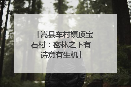 嵩县车村镇顶宝石村：密林之下有诗意有生机