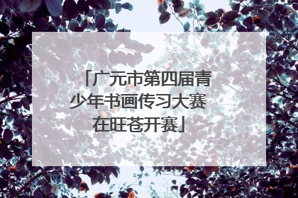 广元市第四届青少年书画传习大赛在旺苍开赛