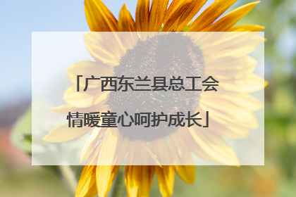 广西东兰县总工会情暖童心呵护成长