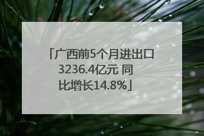 广西前5个月进出口3236.4亿元 同比增长14.8%