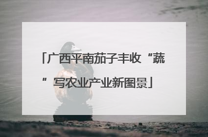 广西平南茄子丰收“蔬”写农业产业新图景