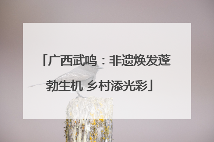 广西武鸣：非遗焕发蓬勃生机 乡村添光彩