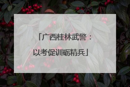 广西桂林武警：以考促训砺精兵