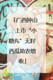广西钟山：上市“小糖丸”无籽西瓜助农增收