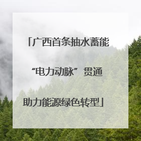 广西首条抽水蓄能“电力动脉”贯通 助力能源绿色转型