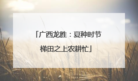广西龙胜：夏种时节 梯田之上农耕忙