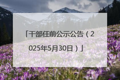 干部任前公示公告（2025年5月30日）