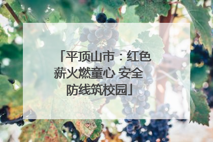 平顶山市：红色薪火燃童心 安全防线筑校园
