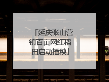 延庆张山营镇百亩网红稻田启动插秧
