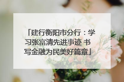 建行衡阳市分行：学习张富清先进事迹 书写金融为民美好篇章