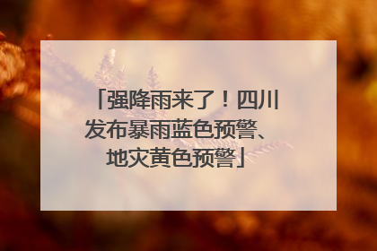 强降雨来了！四川发布暴雨蓝色预警、地灾黄色预警