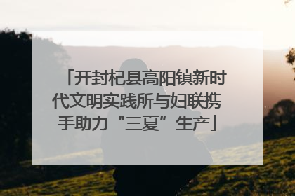 开封杞县高阳镇新时代文明实践所与妇联携手助力“三夏”生产