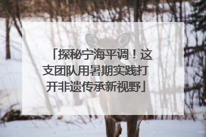 探秘宁海平调！这支团队用暑期实践打开非遗传承新视野