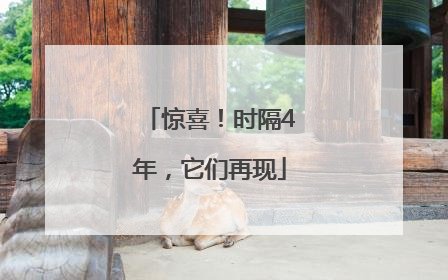 惊喜！时隔4年，它们再现