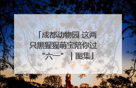 成都动物园 这两只黑猩猩萌宝陪你过“六一”｜图集