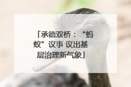 承德双桥：“蚂蚁”议事 议出基层治理新气象