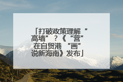 打破政策理解“高墙”？《“营”在自贸港 “画”说新海南》发布