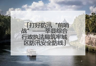 打好防汛“前哨战”——莘县综合行政执法局筑牢城区防汛安全防线