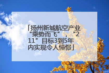 扬州新城航空产业“乘势而飞”，“211”目标3到5年内实现令人憧憬