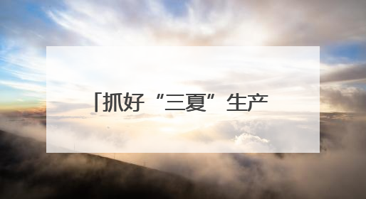 抓好“三夏”生产 保障粮食安全！平顶山市麦收基本完成