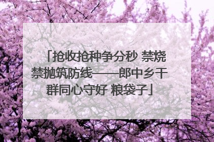 抢收抢种争分秒 禁烧禁抛筑防线——郎中乡干群同心守好 粮袋子