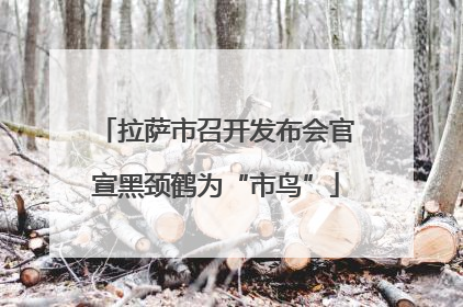 拉萨市召开发布会官宣黑颈鹤为“市鸟”