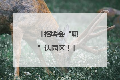 招聘会“职”达园区！